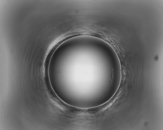 X0000095540246200712211354