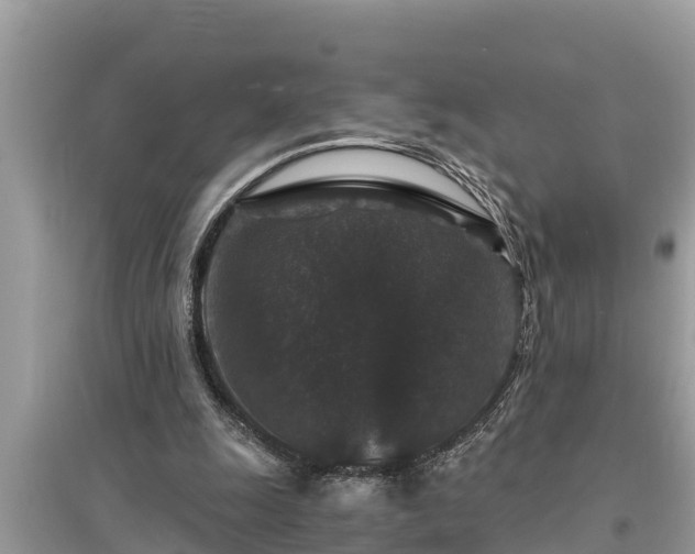 X0000095540247200712211354