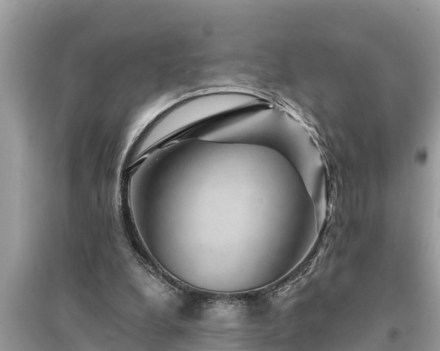 X0000095540248200712211354