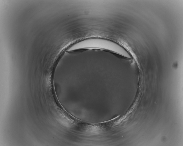 X0000095540249200712211354