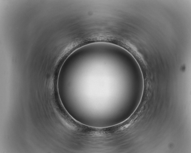 X0000095540250200712211354