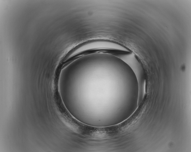 X0000095540252200712211354