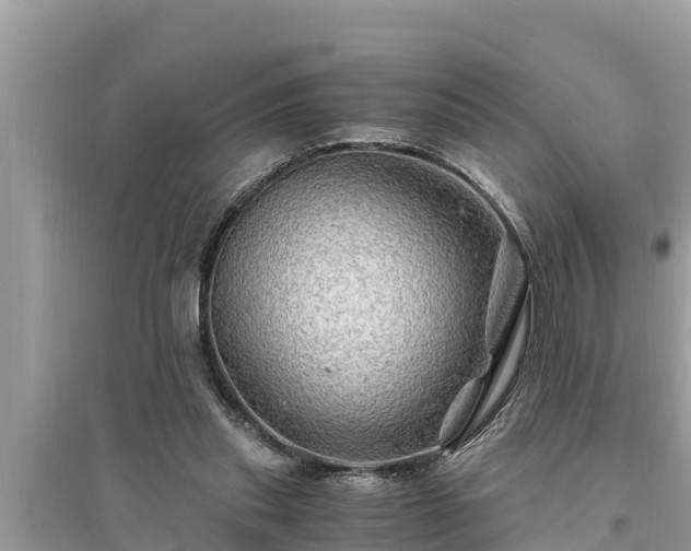 X0000095540253200712211354