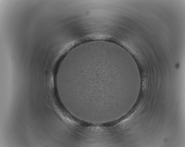 X0000095540254200712211354