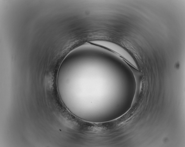 X0000095540255200712211354