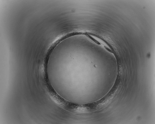 X0000095540256200712211354