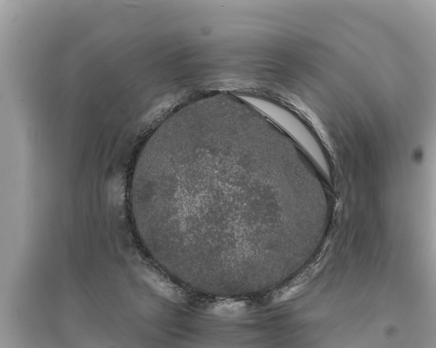 X0000095540257200712211354