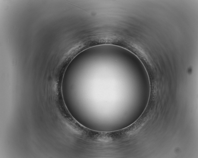 X0000095540258200712211354