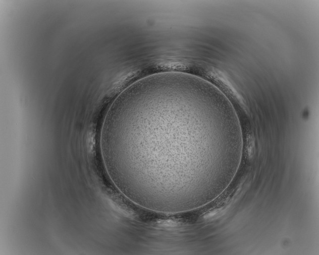 X0000095540259200712211354