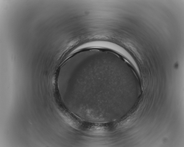 X0000095540260200712211354