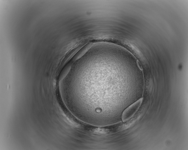 X0000095540261200712211354