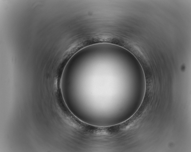 X0000095540262200712211354