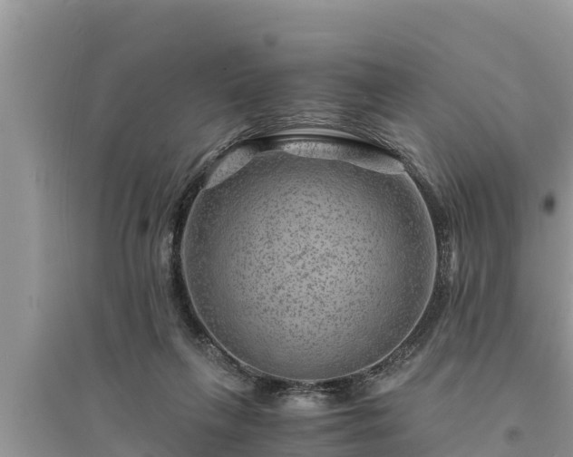 X0000095540263200712211354