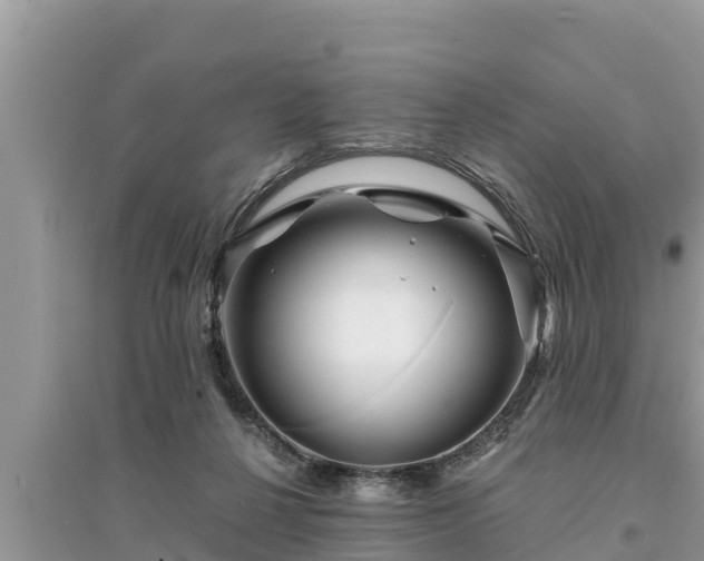 X0000095540264200712211354