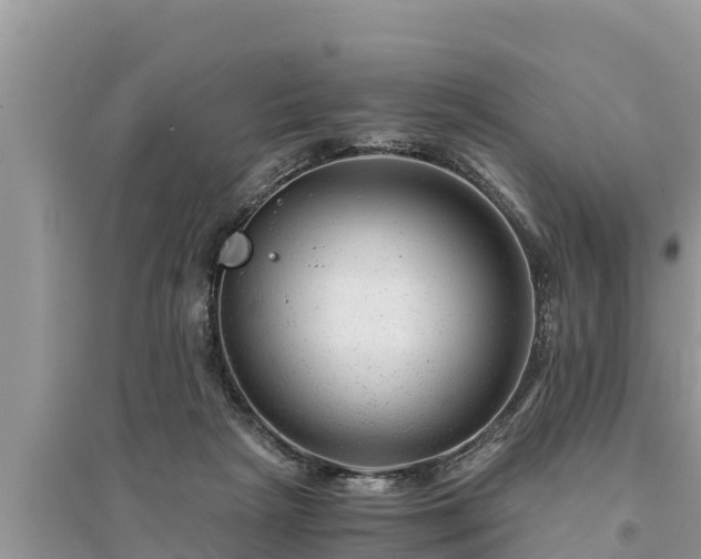 X0000095540265200712211354