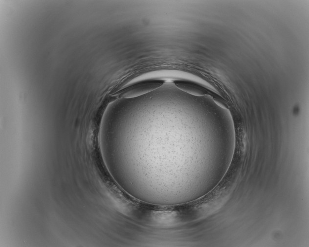 X0000095540266200712211354