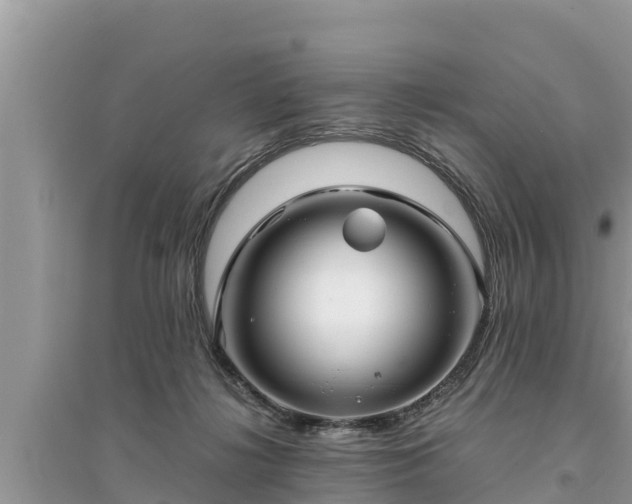 X0000095540268200712211354