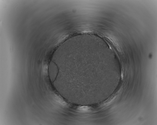 X0000095540269200712211354