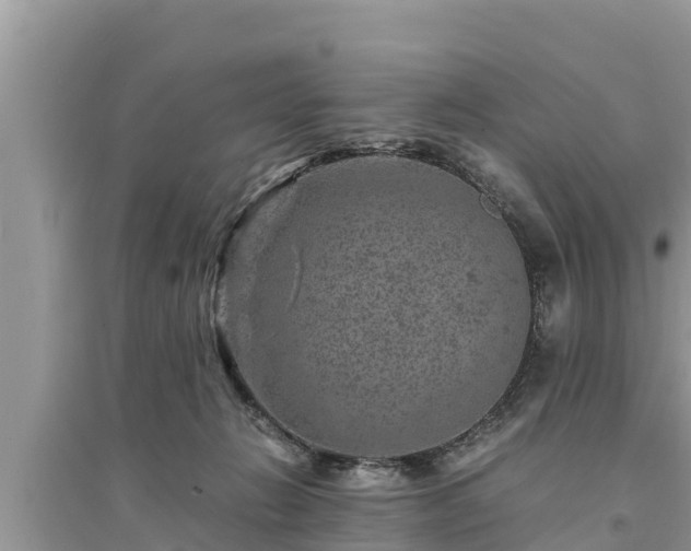 X0000095540270200712211354