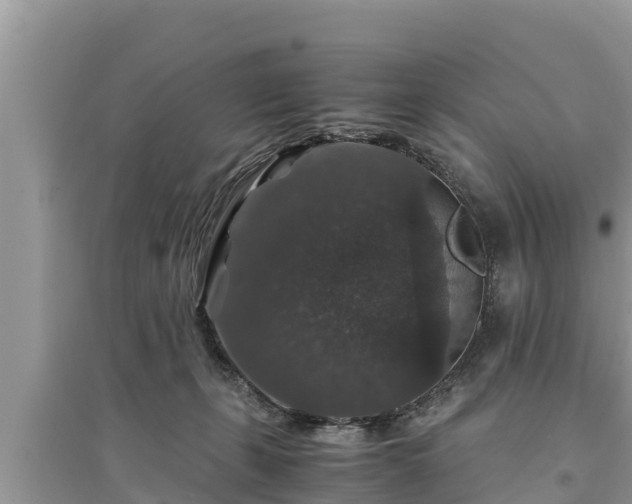 X0000095540271200712211354