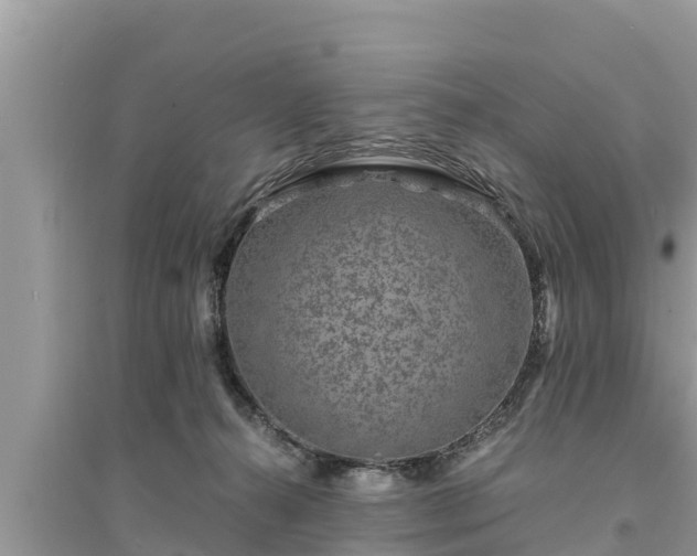 X0000095540272200712211354