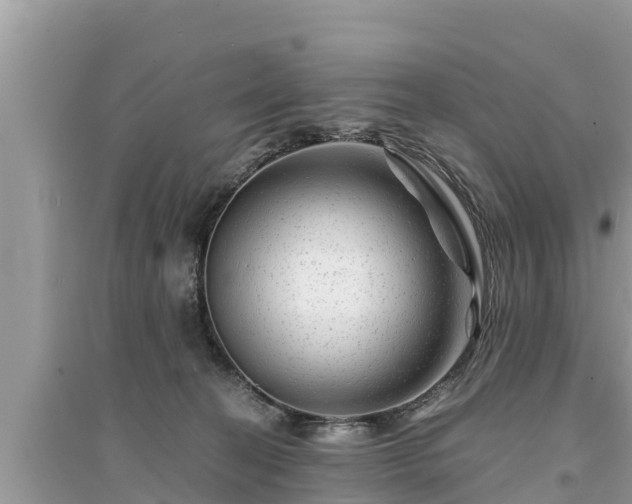 X0000095540274200712211354