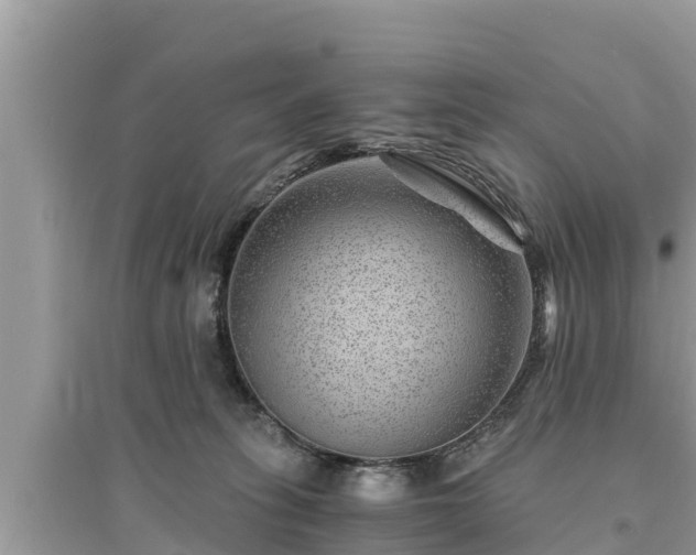 X0000095540275200712211354