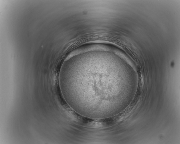 X0000095540276200712211354