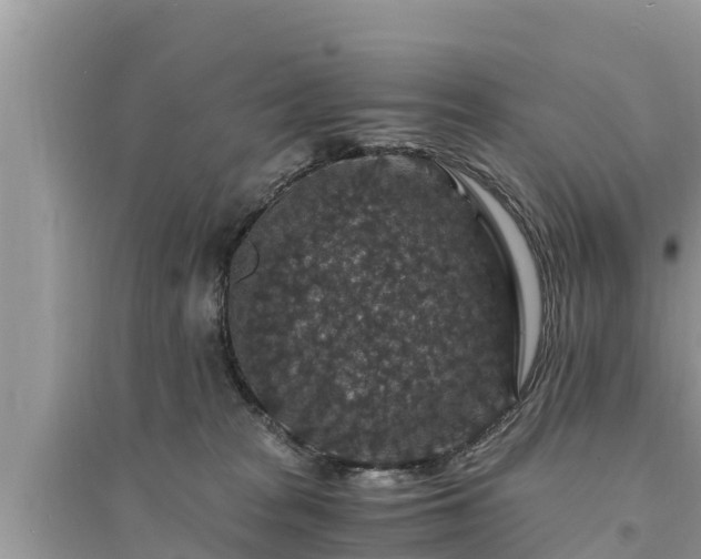 X0000095540277200712211354