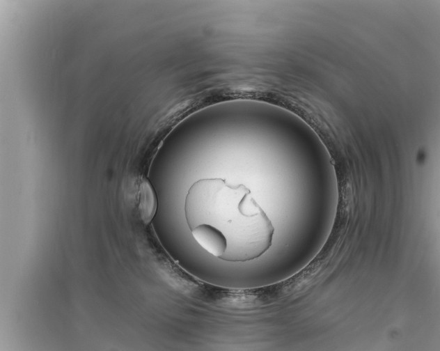 X0000095540278200712211354