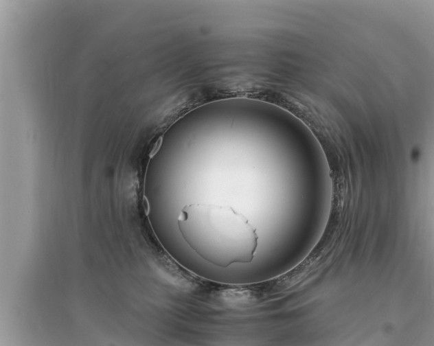 X0000095540279200712211354