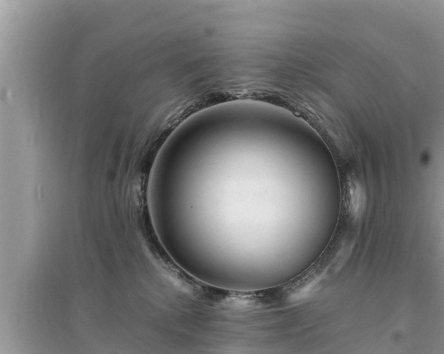 X0000095540280200712211354