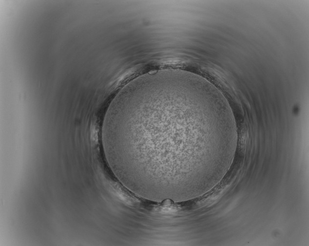 X0000095540282200712211354