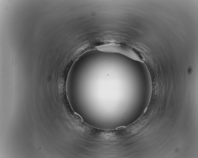 X0000095540283200712211354