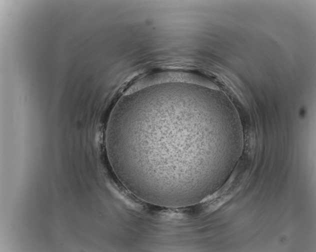 X0000095540284200712211354