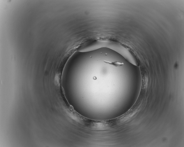 X0000095540286200712211354