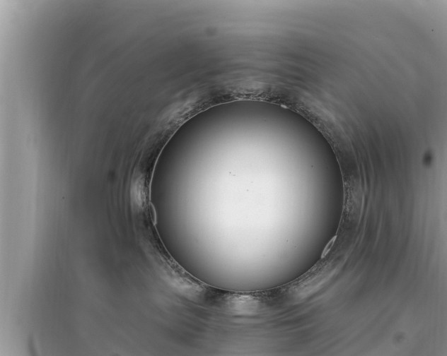 X0000095540287200712211354