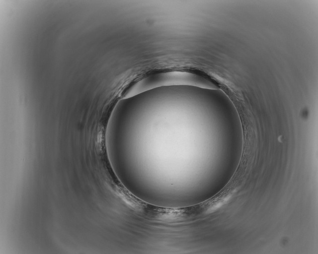 X0000095540288200712211354