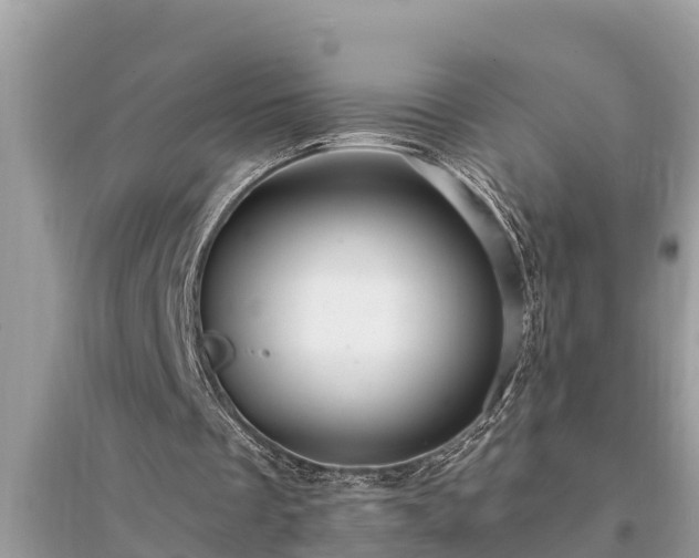 X0000095540289200712211354