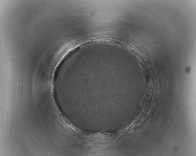 X0000095540290200712211354