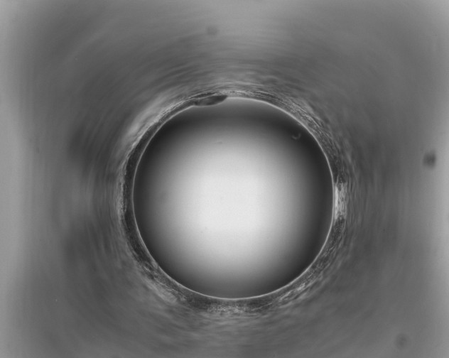 X0000095540291200712211354