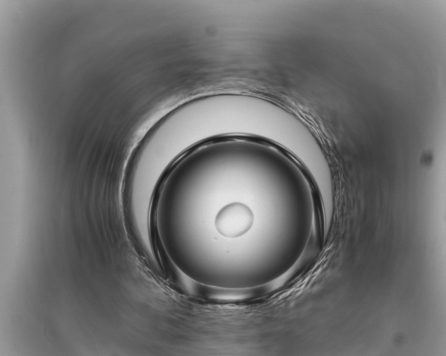 X0000095540292200712211354