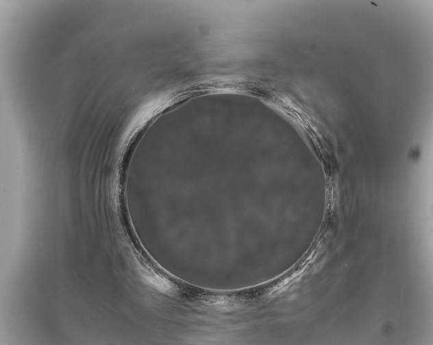 X0000095540293200712211354