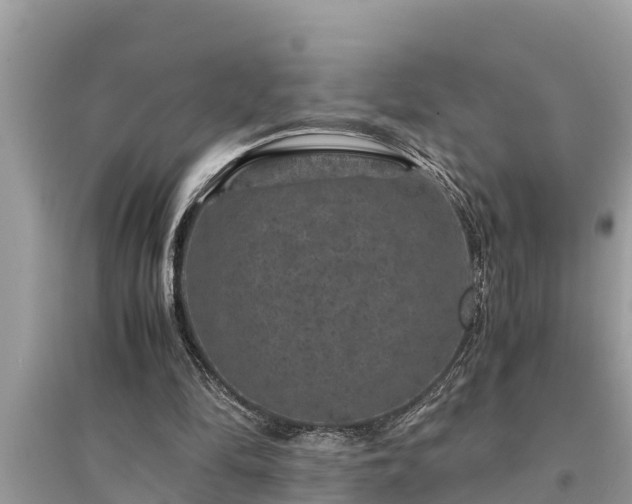 X0000095540294200712211354