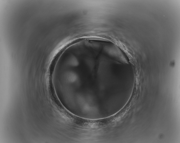 X0000095540295200712211354