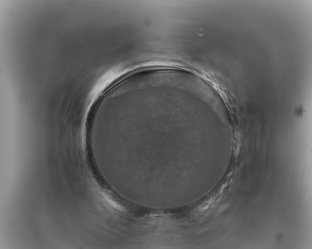 X0000095540296200712211354