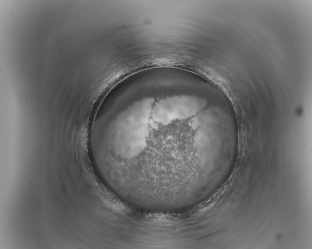 X0000095540297200712211354