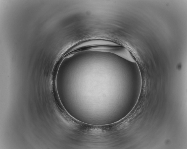 X0000095540298200712211354