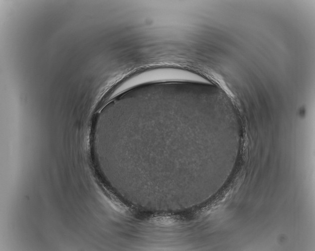 X0000095540299200712211353