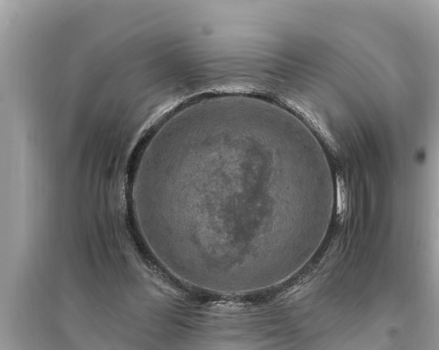 X0000095540300200712211353